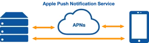 Read more about the article APNsとは？