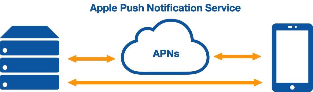 Read more about the article APNsとは？